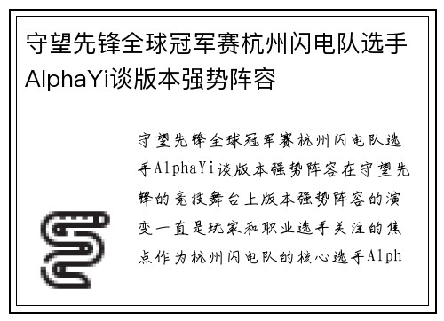 守望先锋全球冠军赛杭州闪电队选手AlphaYi谈版本强势阵容