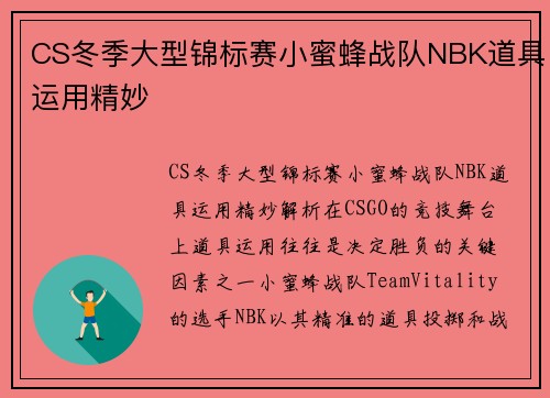 CS冬季大型锦标赛小蜜蜂战队NBK道具运用精妙