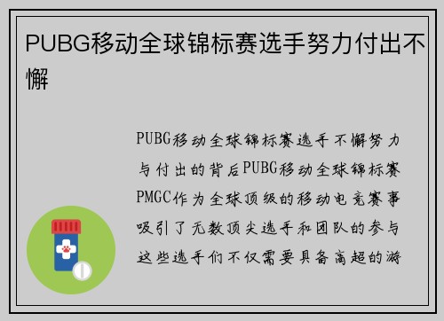 PUBG移动全球锦标赛选手努力付出不懈