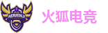 火狐电竞